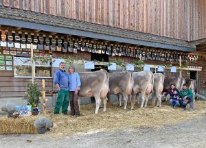 A86 FELINA CH 120.1045.4484.1 Schirmer Robert  Ueli